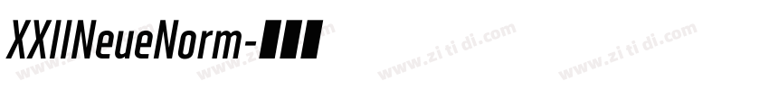 XXIINeueNorm字体转换 XXIINeueNorm字体转换