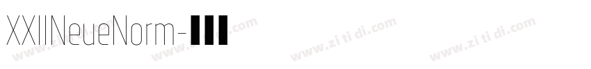 XXIINeueNorm字体转换 XXIINeueNorm字体转换