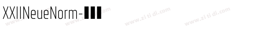 XXIINeueNorm字体转换 XXIINeueNorm字体转换