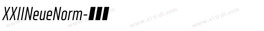 XXIINeueNorm字体转换 XXIINeueNorm字体转换