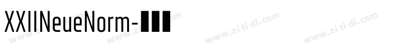 XXIINeueNorm字体转换 XXIINeueNorm字体转换