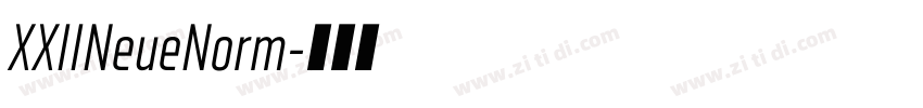 XXIINeueNorm字体转换 XXIINeueNorm字体转换