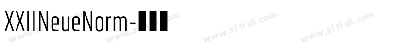 XXIINeueNorm字体转换 XXIINeueNorm字体转换