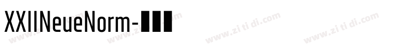 XXIINeueNorm字体转换 XXIINeueNorm字体转换