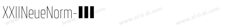 XXIINeueNorm字体转换 XXIINeueNorm字体转换