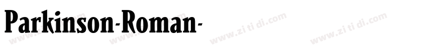 Parkinson-Roman字体转换