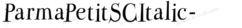 ParmaPetitSCItalic字体转换