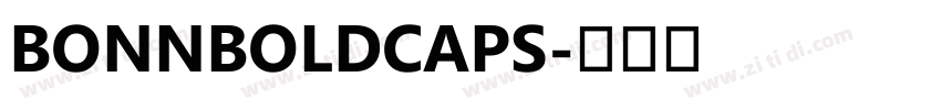 BonnBoldCaps字体转换