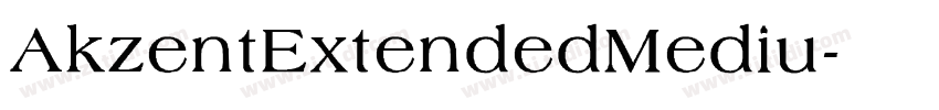 AkzentExtendedMediu字体转换