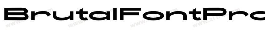BrutalFontProRegular字体转换 BrutalFontProRegular字体转换