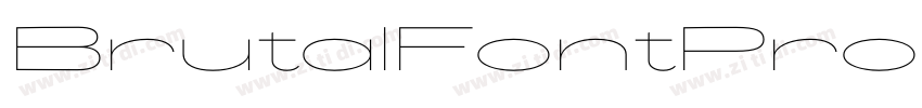 BrutalFontProRegular字体转换 BrutalFontProRegular字体转换