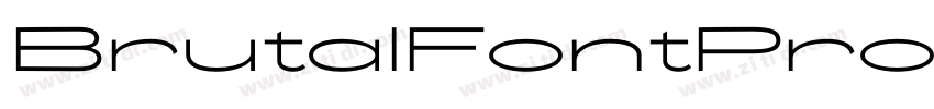 BrutalFontProRegular字体转换 BrutalFontProRegular字体转换