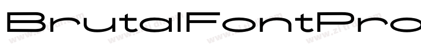 BrutalFontProRegular字体转换 BrutalFontProRegular字体转换