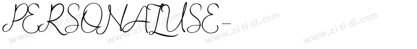 PERSONALUSE字体转换 PERSONALUSE字体转换
