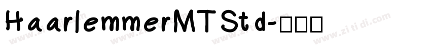 HaarlemmerMTStd字体转换