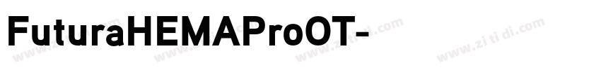 FuturaHEMAProOT字体转换 FuturaHEMAProOT字体转换