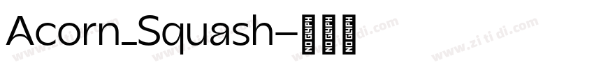 Acorn_Squash字体转换