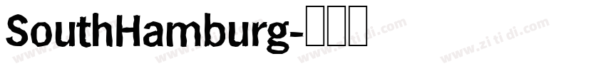 SouthHamburg字体转换