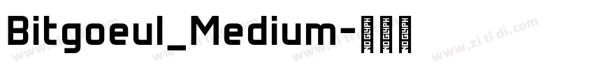 Bitgoeul_Medium字体转换