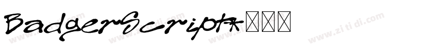 BadgerScript字体转换