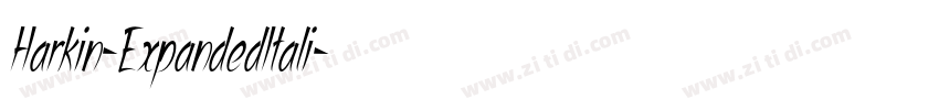 Harkin-ExpandedItali字体转换 Harkin-ExpandedItali字体转换