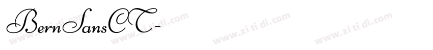 BernSansCT字体转换