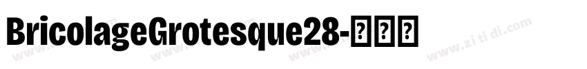BricolageGrotesque28字体转换 BricolageGrotesque28字体转换