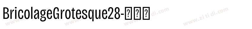 BricolageGrotesque28字体转换 BricolageGrotesque28字体转换