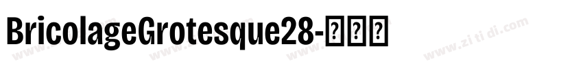 BricolageGrotesque28字体转换 BricolageGrotesque28字体转换