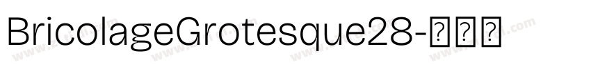BricolageGrotesque28字体转换 BricolageGrotesque28字体转换