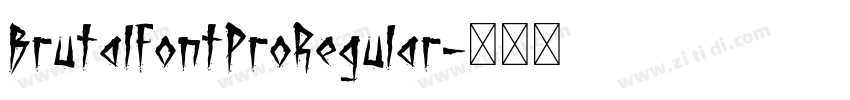 BrutalFontProRegular字体转换 BrutalFontProRegular字体转换