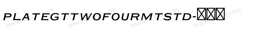PlateGtTwoFourMTStd字体转换 PlateGtTwoFourMTStd字体转换