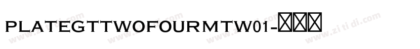 PlateGtTwoFourMTW01字体转换
