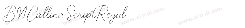 BNCallinaScriptRegul字体转换 BNCallinaScriptRegul字体转换
