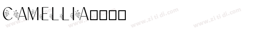 Camellia字体转换