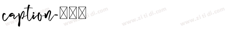 caption字体转换