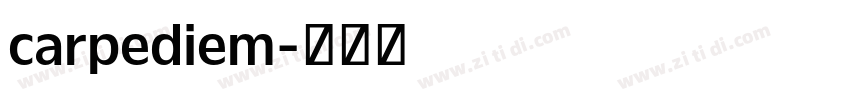 carpediem字体转换