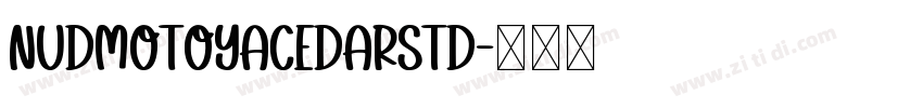 NudMotoyaCedarStd字体转换