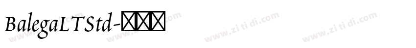 BalegaLTStd字体转换