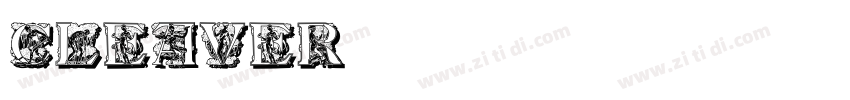 CLEAVER字体转换