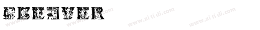 CLEAVER字体转换
