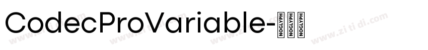 CodecProVariable字体转换