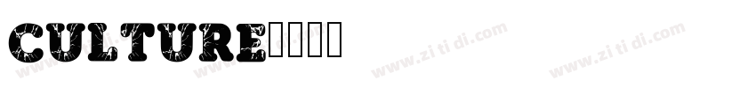 culture字体转换