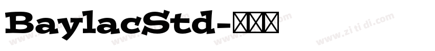 BaylacStd字体转换