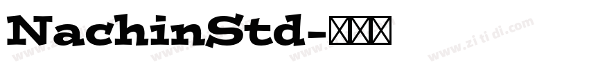 NachinStd字体转换