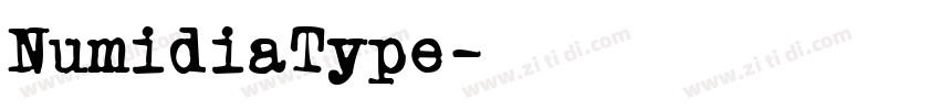 NumidiaType字体转换