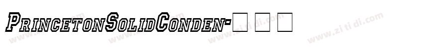 PrincetonSolidConden字体转换