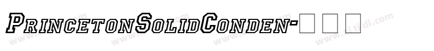 PrincetonSolidConden字体转换