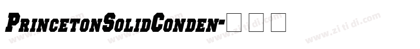 PrincetonSolidConden字体转换