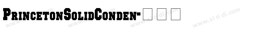 PrincetonSolidConden字体转换